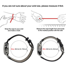 Load image into Gallery viewer, Seagull 1963|38mm Grey Panda Dial|Sapphire Crystal|Acrylic Glass|Chronograph