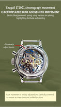 Load image into Gallery viewer, Seagull 1963|38mm| Sapphire Glass|Luminious Edition|Chronograph Watch